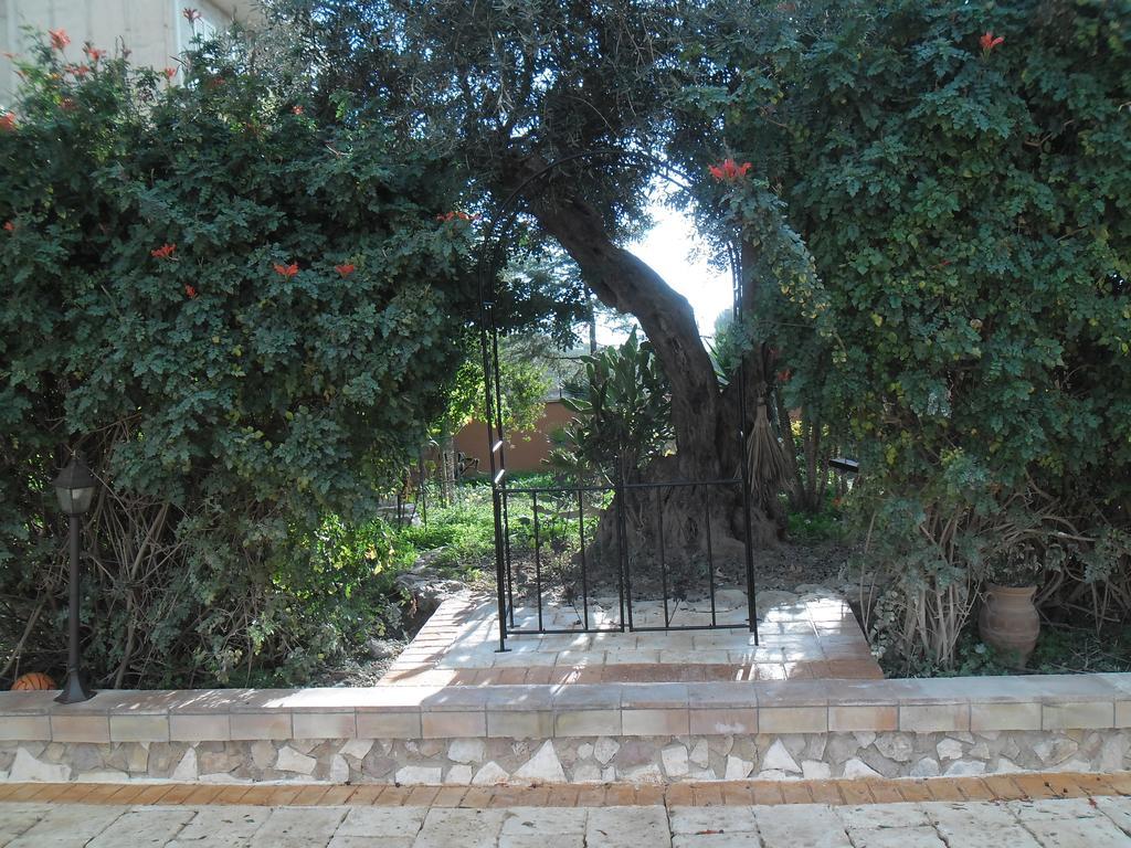 Appartamenti Сикульяна Экстерьер фото